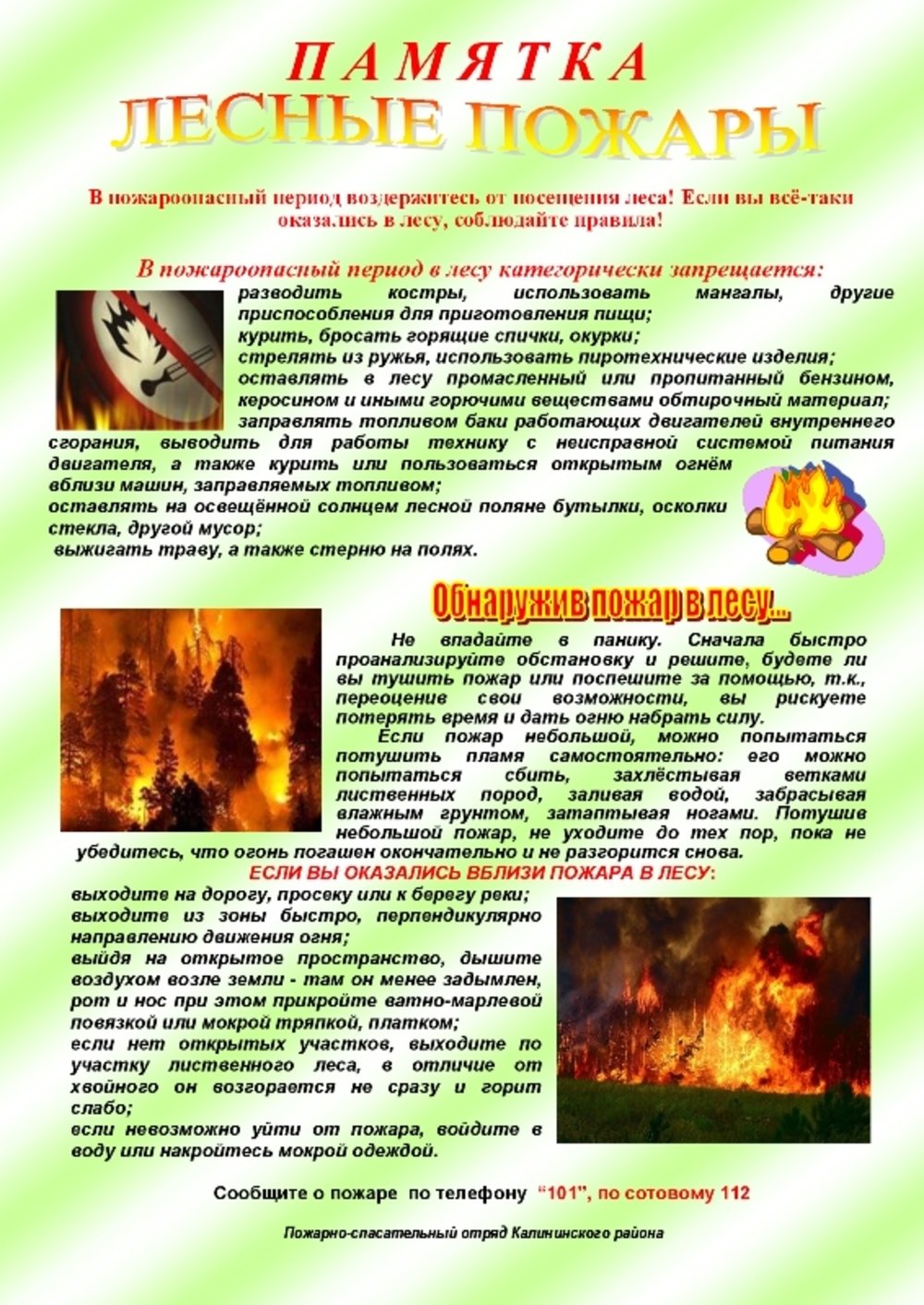 Правила Пожарной Безопасности В Лесах Картинки