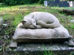 Мемориальный комплекс для животных находится на улице Электропультовцев