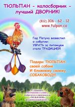 Тюльпан — лучший дворник: удобен в обращении, практичен