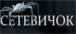 Проект «Сетевичок» — для успешной и безопасной жизни и учебы во всемирной сети