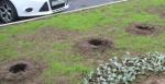 Во дворе на Замшина-Металлистов после благоустройства украли цветы