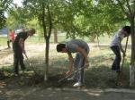 В планах на лето работа? Получи СНИЛС