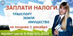 1 декабря – единый срок уплаты имущественных налогов физических лиц