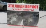 Почти детективная история