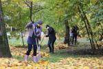 Поставьте оценку качеству уборки в своем районе