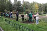 В Петербурге началась акция по посадке деревьев жителями города