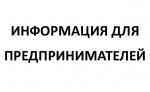 Работающие в социальной сфере петербургские предприниматели могут получить поддержку в части продвижения своего бизнеса