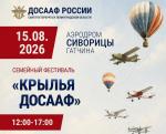 15 августа состоится городской семейный спортивный фестиваль «Крылья ДОСААФ»
